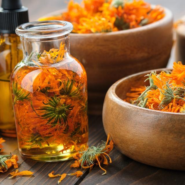 Image for استخدام الأعشاب والنباتات