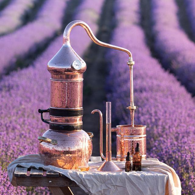 Image for الزيوت العطرية وفوائدها الصحية